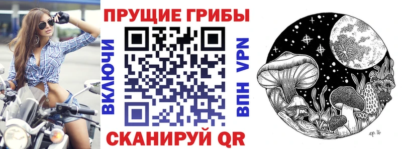 Псилоцибиновые грибы ЛСД  это как зайти  Николаевск 